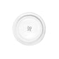 Pre-order: Marie-Antoinette Knot Plate