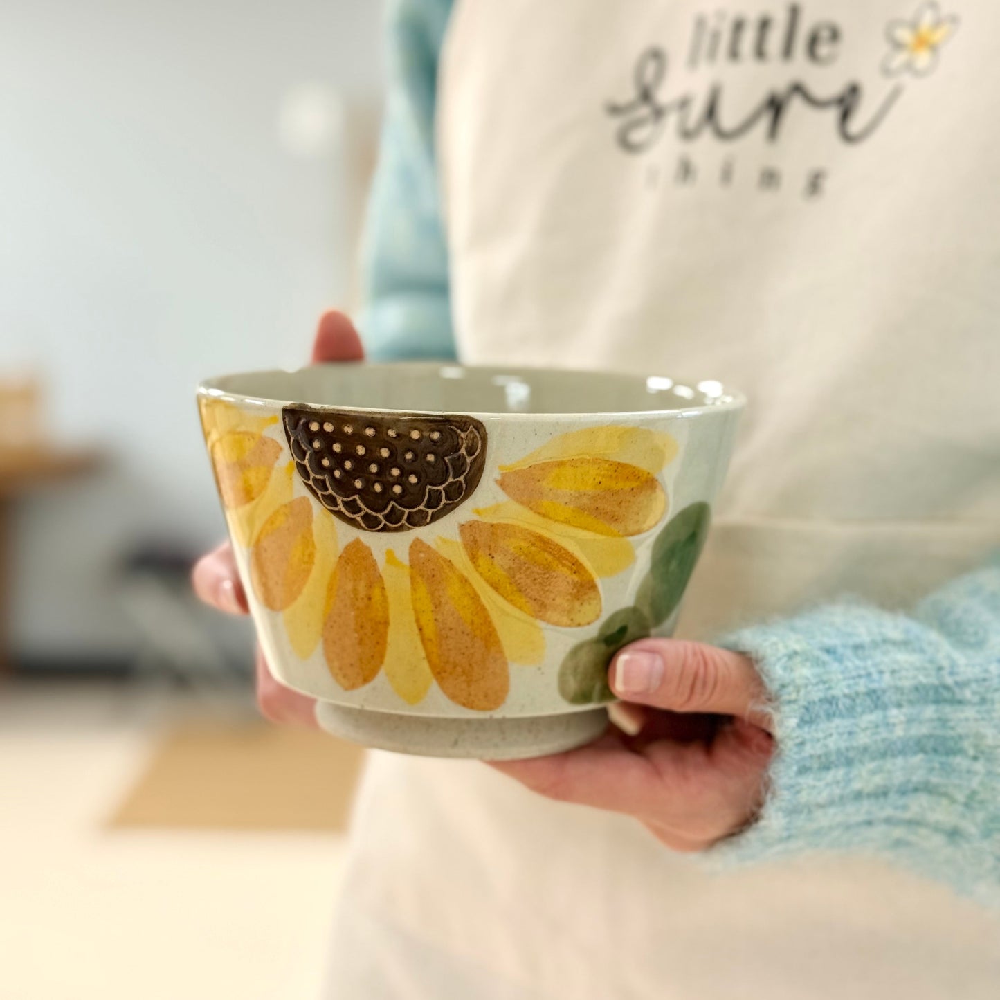 Hasami Ware Donburi Bowl